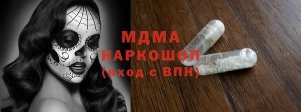 шишки Надым