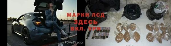 шишки Надым
