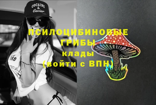 шишки Надым