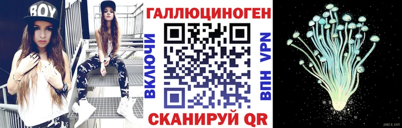 Псилоцибиновые грибы Psilocybine cubensis  Североморск 